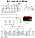 MAX7219 5 Digit Display